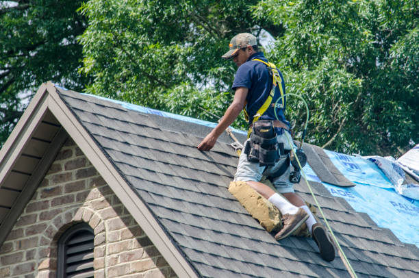 Best Roof Gutter Cleaning  in Au Sable, MI
